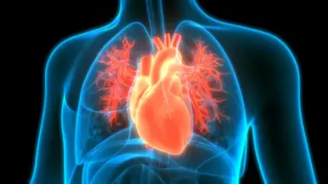 ARPA-H to invest $62M to build agentic AI agent for heart care